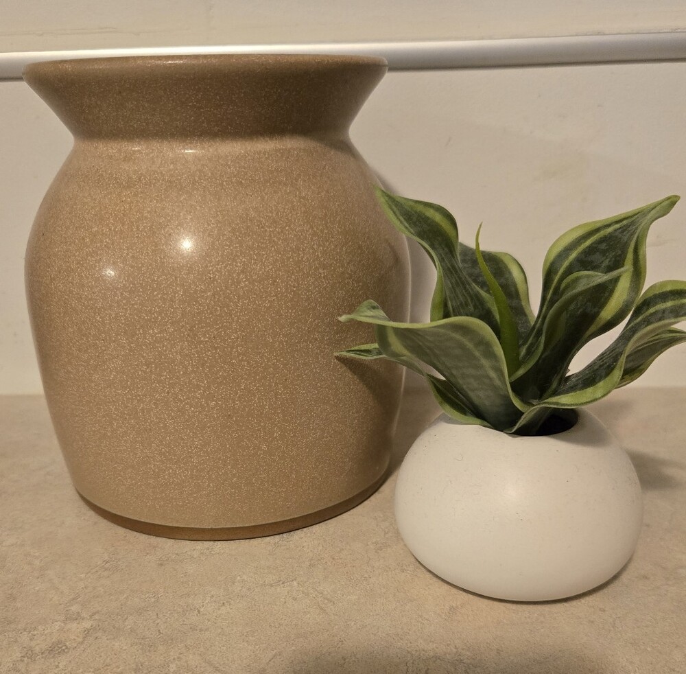 Hearth & Hand with Magnolia tan ceramic Vase with Threshold Mini Plant